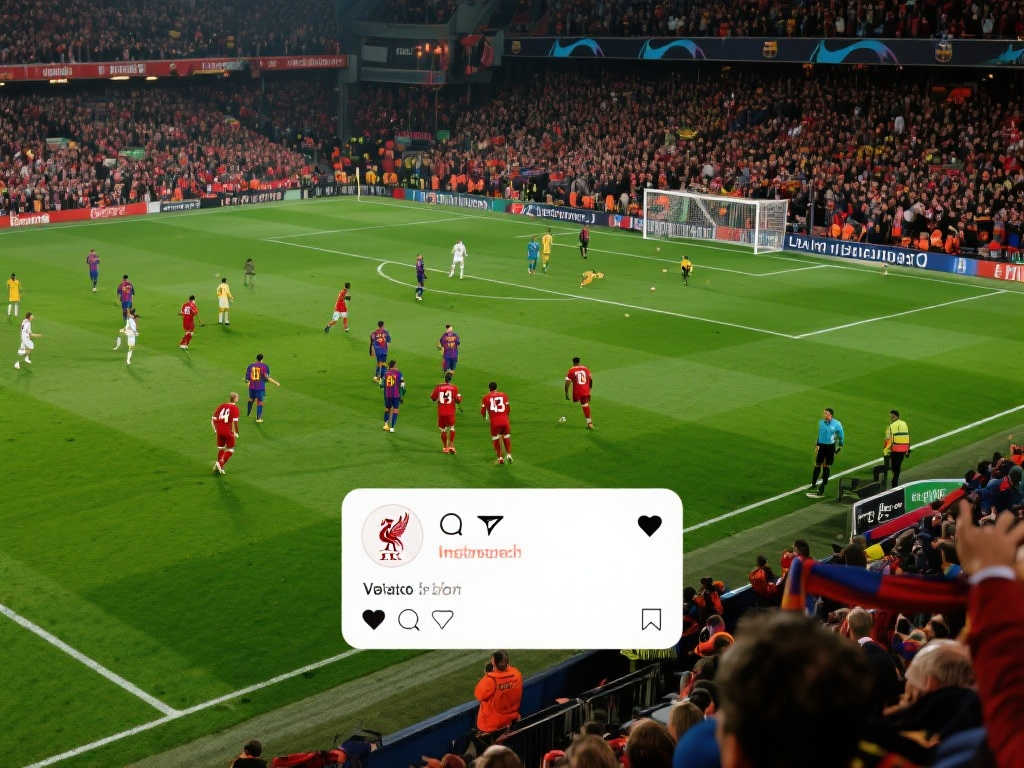 背负着代表 背负着代表